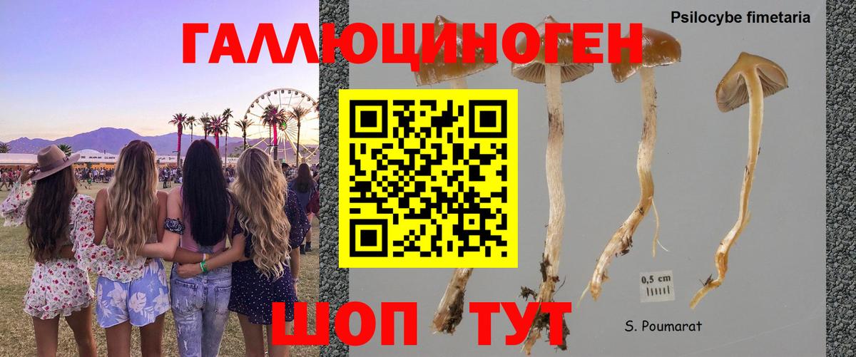 МАРИХУАНА Новочебоксарск